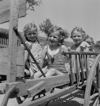 Kinder auf Leiterwagen im Sommer