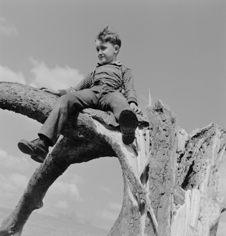 Knabe auf einem Baum sitzend