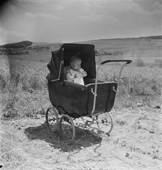 Kleinkind in Kinderwagen sitzend, in ländlicher Umgebung