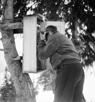 Mann am Telefonieren oben am Start des Skispringens