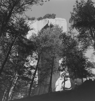 Wände des Sandsteinbruchs, fotografiert aus dem Wald