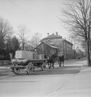 Fuhrwerk unterwegs auf der Laupenstrasse in Richtung Inselspital
