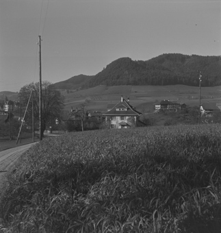 Krauchthal mit Bantiger