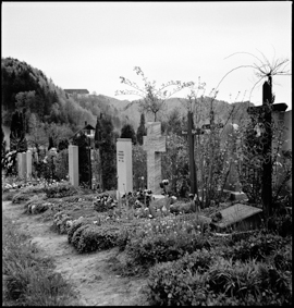 Blick vom Friedhof Krauchthal zum Thorberg