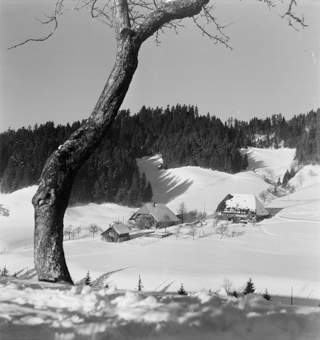 Bauernhäuser in Winterschlandschaft