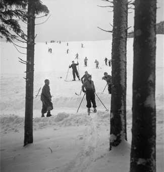 Skifahrer an Schneehang