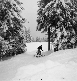 Skifahrer bei der Abfahrt vorbei an verschneiten Tannen
