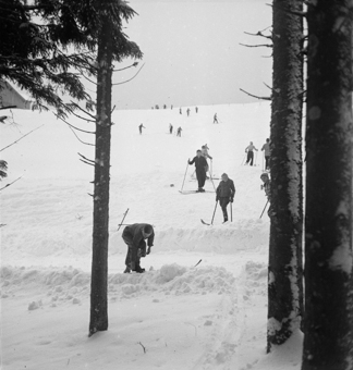 Skifahrer an Schneehang