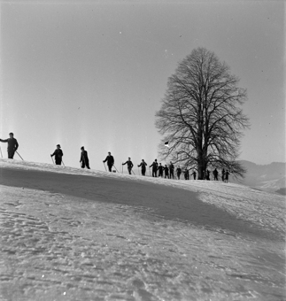 vermutlich eine Schulklasse beim Skiunterricht