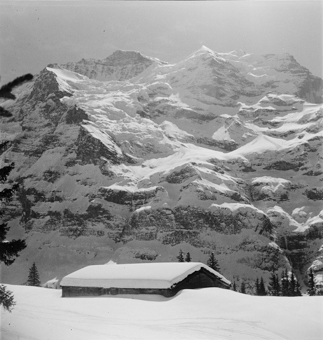 Verschneites Berghaus vor Jungfraumassiv 