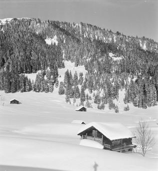 Winterliche Berglandschaft mit vier Häusern