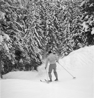 Skifahrer bei der Abfahrt durch verschneiten Bergwald