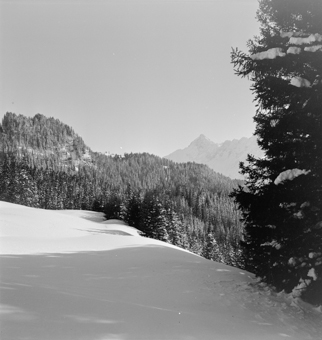 Winterlandschaft