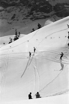 Drei Skifahrer bei der Abfahrt durch den Tiefschnee