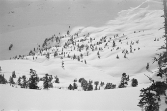 Winterlandschaft mit Tannen und Arven