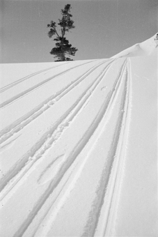 Skispuren im Schnee