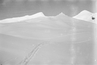 Ski-Spuren am Hang unterhalb des Lauberhorns