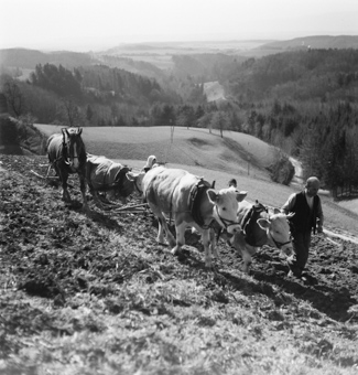 Pflügen am Hang