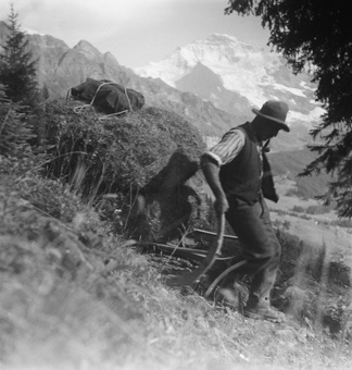 Bergbauer über dem Lauterbrunnental