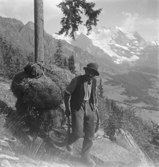Bergbauer über dem Lauterbrunnental