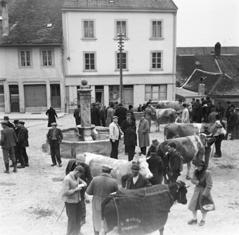 Viehmarkt auf der Place Saint-Jacques in Romont